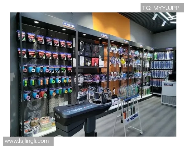 南京羽毛球队运营策略深度分析与发展前景展望