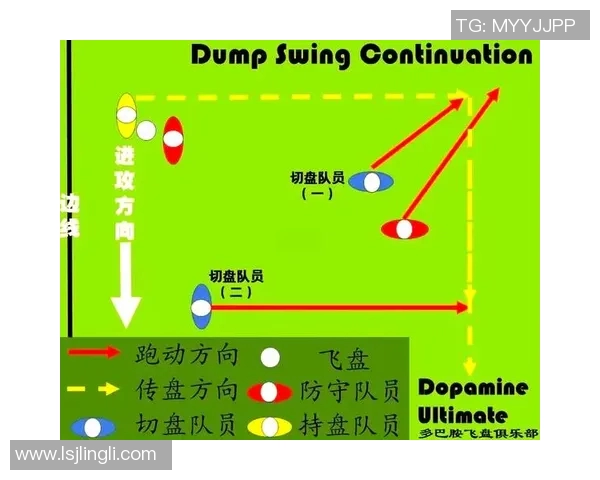 武汉飞盘队包夹战术分析及其在比赛中的得失表现
