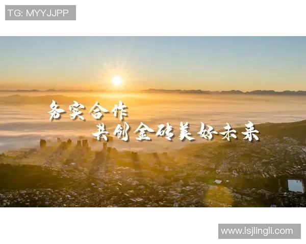 以团队合作为核心推动力 共创高效协同与创新发展的未来