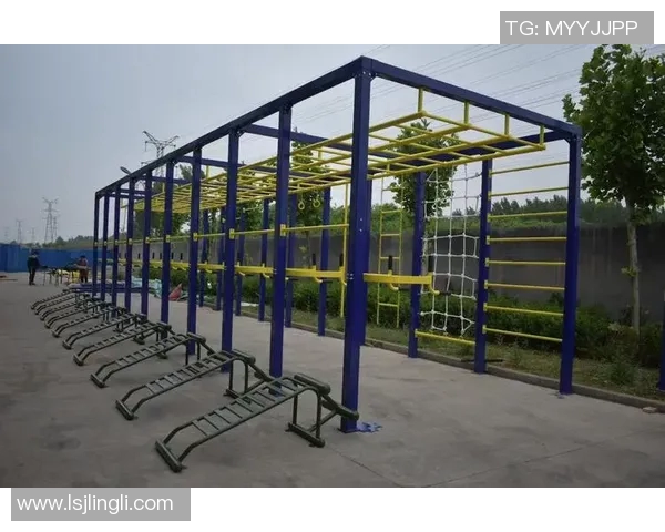 攀岩巨献：深入解析成都攀岩队的战术与训练秘笈