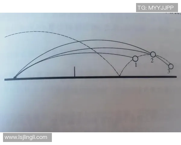 乒乓球新手必看：轻松掌握节奏与技巧的入门指南