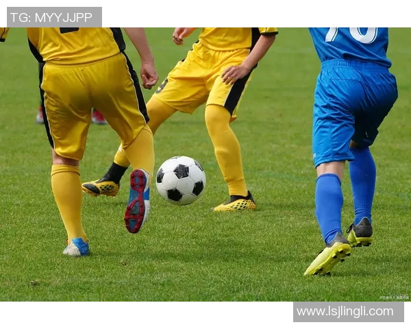 竞技体育的魅力：激情碰撞与超越极限的精神传承